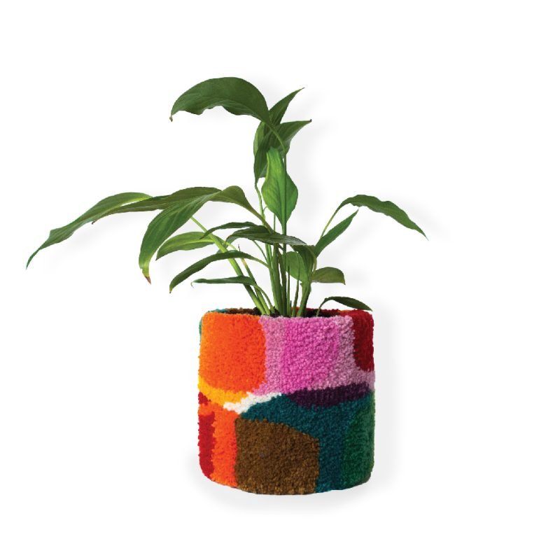 Plant Holder